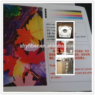 100% polyester waterproof Solvent Oil Canvas/Inkjet Canas/digital printing canvas